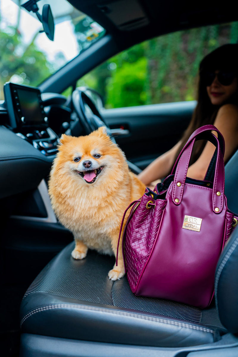 Gift Dilemma Solved: The Bag That Works for Literally Anyone