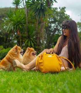 Denri Skye Handbag | Vegan Leather, Hidden Press-Button Closure | Chic & Featherlight