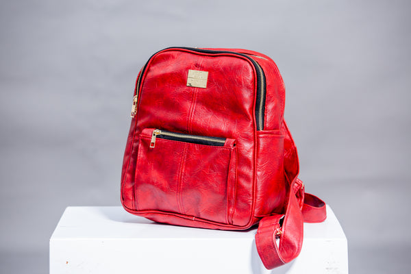 Denri Cairo Backpack for Women, Fit's up to a 12-inch Laptop, stylish bag for school, work and errands