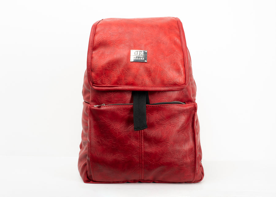 Denri Bello College Laptop Back Pack | Secure Zippers, fits 17" laptop, Compact